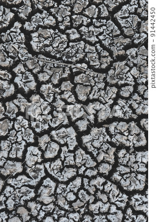 Dry soil.La Pampa Argentina 91442450