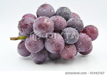 Grapefruit Grapefruit 91442587