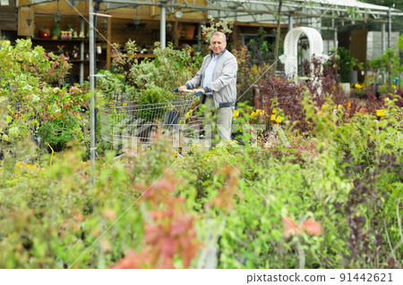 Caucasian man choosing sprouts in garden center Caucasian man choosing sprouts in garden center 91442621