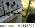 Japanese bee hive 91442708