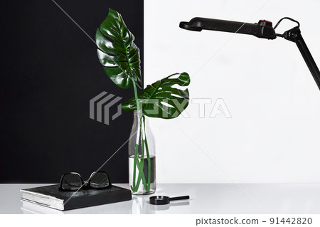 Composition. Green leaves in bottle with notepad on white and black background. Front view, copy space. 91442820