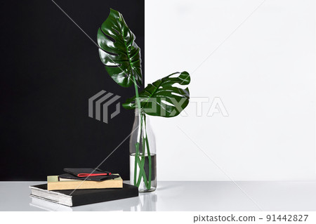 Composition. Green leaves in bottle with a book and notepad for notes on white and black background. Front view, copy space. Composition. Green leaves in bottle with a book and notepad for notes on white and black background. Front view, copy space. 91442827