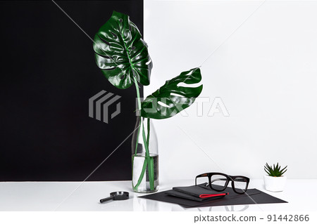 Bottle with tree leaves and glasses on table with black and white wall on background 91442866