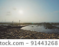 Taichung Gaomei Wetland 91443268