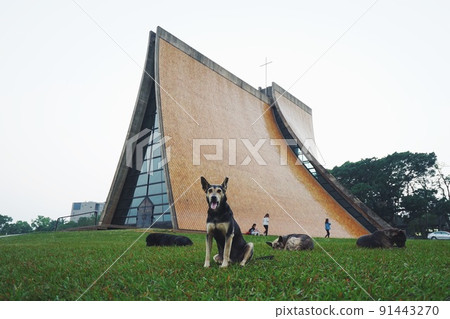 Taichung University Lewis Church 91443270
