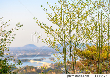 Mt. Seniwa "There are strange rocks and monster stones, and you can see the Five Bridges of Amakusa with a panoramic view." A panoramic view from the Mt. 91443573