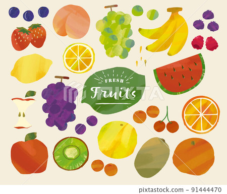 手寫風格新鮮水果插圖集 手寫風格新鮮水果插圖集 91444470