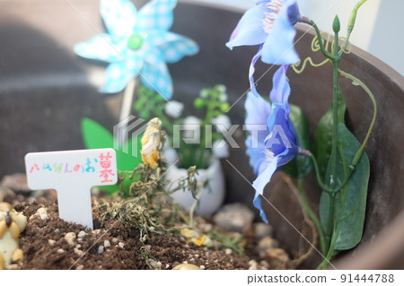 Hamster grave 91444788