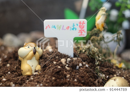 Hamster grave 91444789