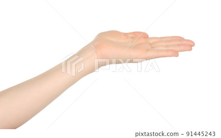 Woman hand shows virtual holding something, on white background Woman hand shows virtual holding something, on white background 91445243