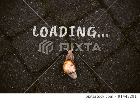 Loading, downloading, slow internet speed concept with word loading and Brown garden snail crawling the road Loading, downloading, slow internet speed concept with word loading and Brown garden snail crawling the road 91445291