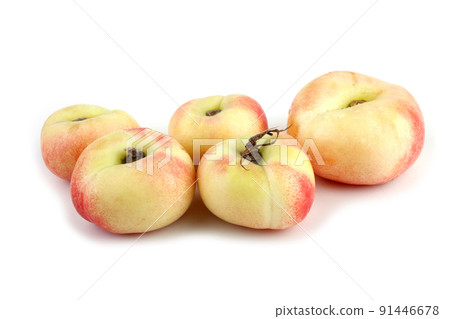 Flat peach (doughnut peach, donut peach, UFO peach, peento peach, saucer peach). Ancient Chinese variety "Pan tao". Delicacy Flat peach (doughnut peach, donut peach, UFO peach, peento peach, saucer peach). Ancient Chinese variety "Pan tao". Delicacy 91446678