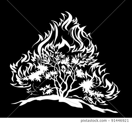 Burning bush. Vector drawing icon Burning bush. Vector drawing icon 91446921