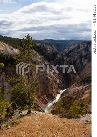 Rocky Canyon and River in American Landscape. Grand Canyon of The Yellowstone Rocky Canyon and River in American Landscape. Grand Canyon of The Yellowstone 91448219