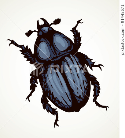 Chafer. Vector drawing of a big beetle Chafer. Vector drawing of a big beetle 91448671