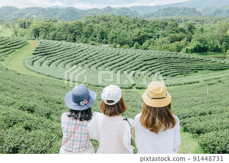 Back view of Asian tourist group looking to the beautiful view in Choui Fong tea plantation in Chiang Rai province of Thailand. Back view of Asian tourist group looking to the beautiful view in Choui Fong tea plantation in Chiang Rai province of Thailand. 91448731