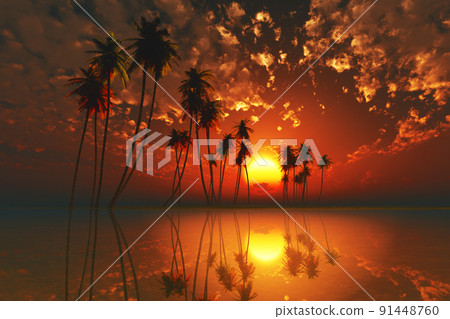 red tropical sunset red tropical sunset 91448760