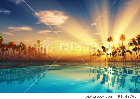 sun rays inside coconut palms sun rays inside coconut palms 91448763