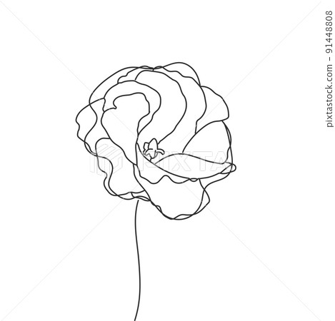 Poppy flower line art. Poppy flower line art. 91448808