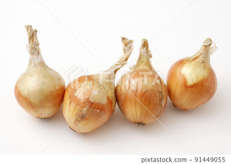 onion  91449055