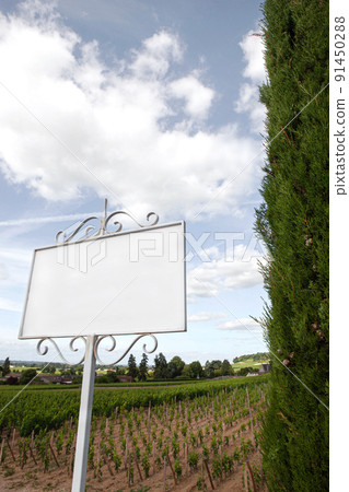 Winery sign and vineyards near Bordeaux France Winery sign and vineyards near Bordeaux France 91450288