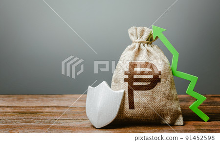 Philippine peso and a shield with an arrow up. Safeguarded capital. Insurance. Compensation, social guarantees. Guaranteed protection of retirement savings. Reserve fund. Income profit growth. Philippine peso and a shield with an arrow up. Safeguarded capital. Insurance. Compensation, social guarantees. Guaranteed protection of retirement savings. Reserve fund. Income profit growth. 91452598