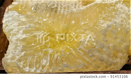 Excitement nest ultra-pure honey Excitement nest ultra-pure honey 91453106