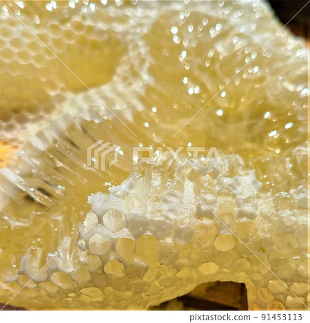 興奮巢超純蜂蜜 興奮巢超純蜂蜜 91453113