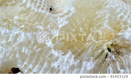 興奮巢超純蜂蜜 興奮巢超純蜂蜜 91453129