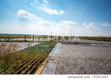 Metal cattle crossing ground gate with weeds growing between Metal cattle crossing ground gate with weeds growing between 91453447