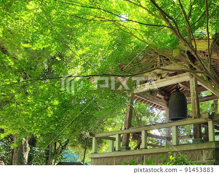 Senjoji Temple Shimazu Family Bodaiji Temple(日本第一座禪寺) Senjoji Temple Shimazu Family Bodaiji Temple(日本第一座禪寺) 91453883