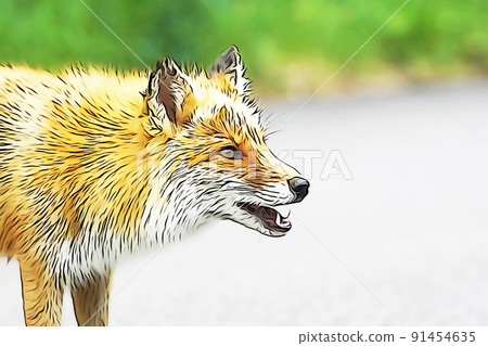 Pastel-like "Kitakitsune" illustration image Pastel-like "Kitakitsune" illustration image 91454635