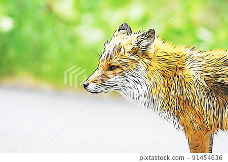 粉彩般的“Kitakitsune”插圖圖像 粉彩般的“Kitakitsune”插圖圖像 91454636