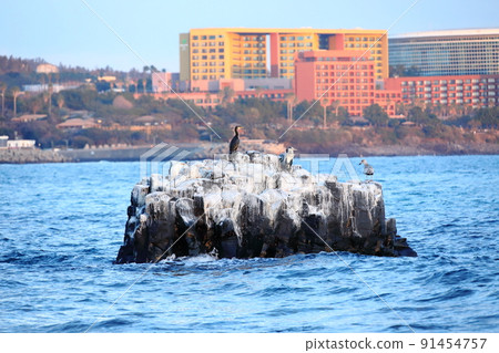 Gaetkak columnar joint, columnar joint, cliff, cliff, beach, coast, lava, natural cave, sunset, 91454757