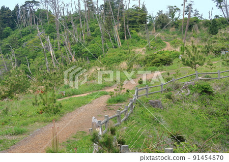 半建成景觀 91454870