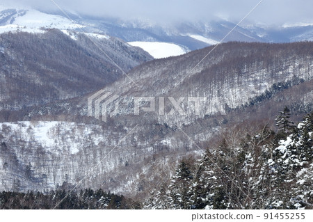 雪景(長野縣茅野市坪庭自然公園北代小岳) 雪景(長野縣茅野市坪庭自然公園北代小岳) 91455255