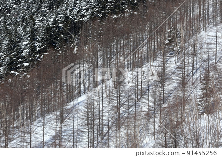 Snow scene (Kitayokodake, Tsuboniwa Nature Park, Chino City, Nagano Prefecture) Snow scene (Kitayokodake, Tsuboniwa Nature Park, Chino City, Nagano Prefecture) 91455256