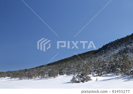雪山風景，山下柔和（長野縣茅野市北代小岳壺庭自然公園） 91455277