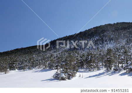 Midwinter snowy mountain (Kitayokodake Tsuboniwa Nature Park, Chino City, Nagano Prefecture) 91455281
