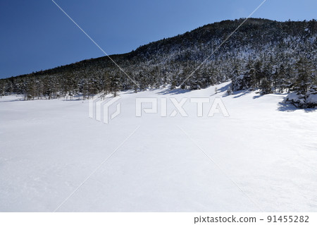 Midwinter snowy mountain (Kitayokodake Tsuboniwa Nature Park, Chino City, Nagano Prefecture) 91455282
