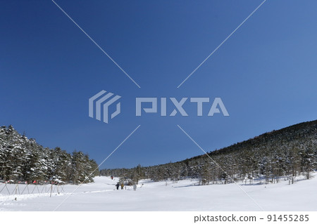 雪山風景，山下柔和（長野縣茅野市北代小岳壺庭自然公園） 91455285
