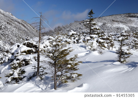 隆冬雪山(長野縣茅野市北代小岳壺庭自然公園) 隆冬雪山(長野縣茅野市北代小岳壺庭自然公園) 91455305