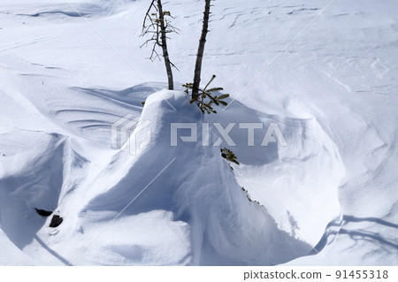 雪山對象(長野縣茅野市北代小岳壺庭自然公園) 雪山對象(長野縣茅野市北代小岳壺庭自然公園) 91455318