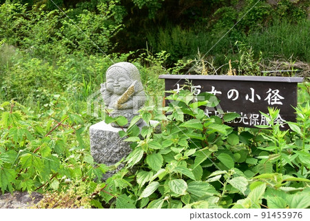 Kyoto City Oharame's Path (Flower Road) and Oharame Stone Statue Kyoto City Oharame's Path (Flower Road) and Oharame Stone Statue 91455976