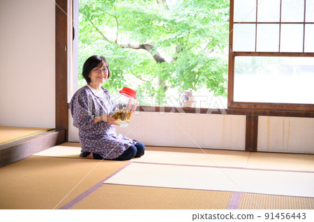 Image of summer Japan 91456443