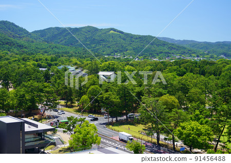 Nara Park / Prefectural Office Crossing after the refreshing rainy season Nara Park / Prefectural Office Crossing after the refreshing rainy season 91456488
