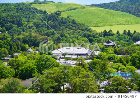 Mt. Wakakusa / Nandaimon and Todaiji Museum after the rainy season Mt. Wakakusa / Nandaimon and Todaiji Museum after the rainy season 91456497