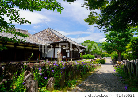 Naramachi, Gango-ji Temple, and the rainy season when Kyoko bloomed 91456621