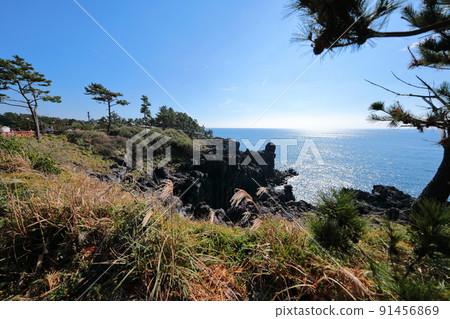 大浦洞柱狀節理, 柱狀節理, 海岸, 海灘, 熔岩, 懸崖, 田野, 野花, 波 大浦洞柱狀節理, 柱狀節理, 海岸, 海灘, 熔岩, 懸崖, 田野, 野花, 波 91456869