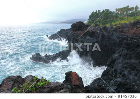 大浦東柱狀節理、柱狀節理、海岸、西歸浦、旅遊勝地、熔岩、海、波、避暑勝地、 91457036